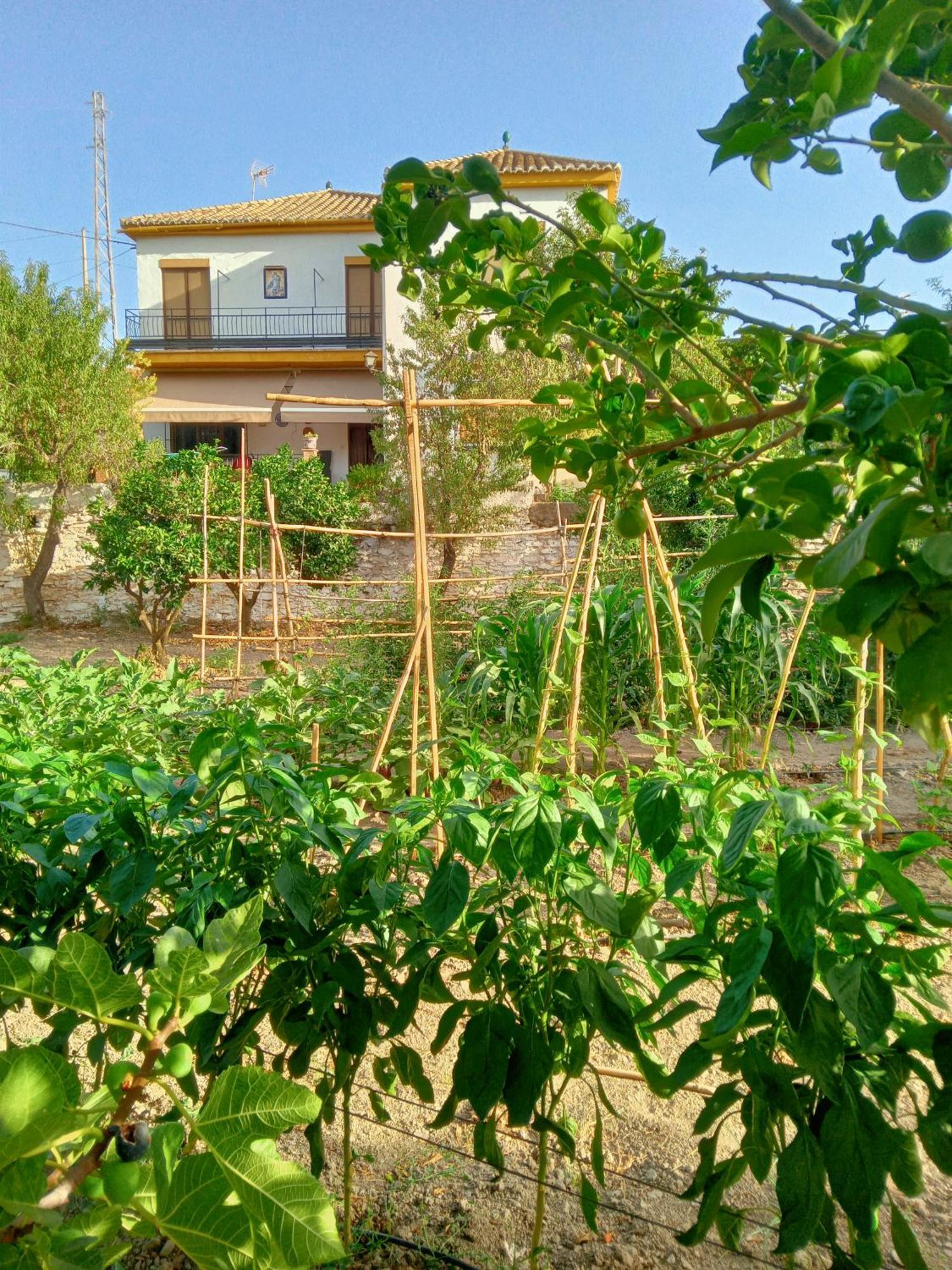 Tuguest Hortichuela House Villa Ugijar Exterior photo